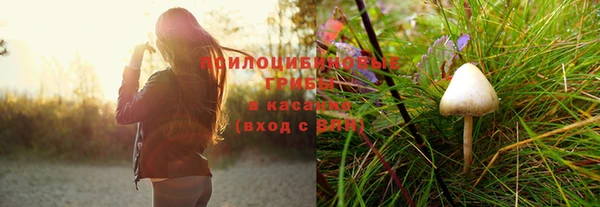 ECSTASY Алексеевка