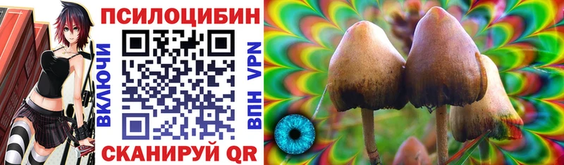 дарк нет телеграм Гусь-Хрустальный Галлюциногенные грибы Magic Shrooms магазин продажи кракен рабочий сайт